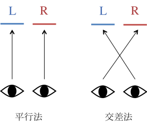 平行法と交差法 オプティペディア Produced By 光響