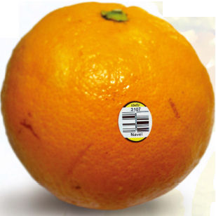 図1 レーザーマーキングしたネーブルオレンジのラベル。