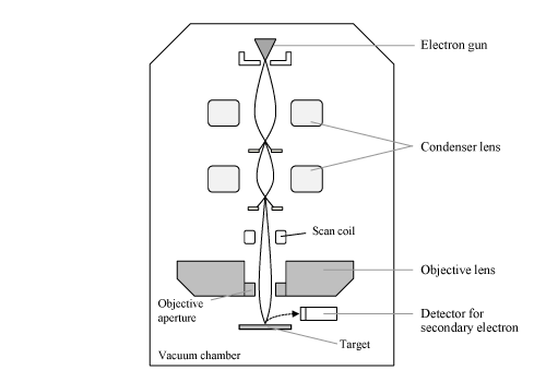 走査型電子顕微鏡の概念図