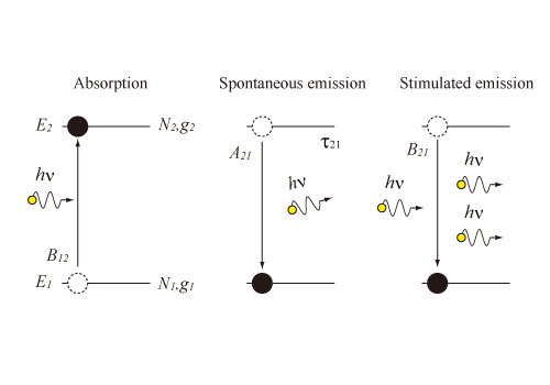 吸収(absorption)、自然放出(spontaneous emission)、誘導放出(stimulated emission)