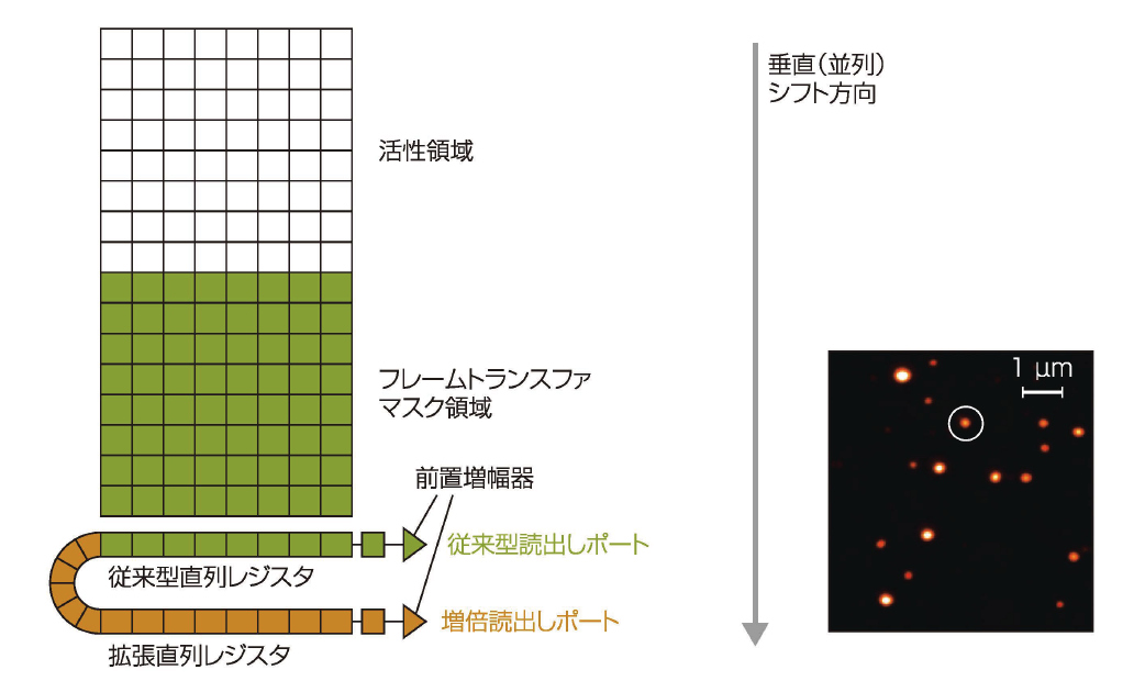 図2