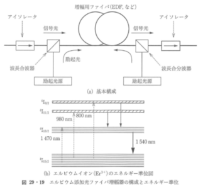 セール 固有値 離散的 照明