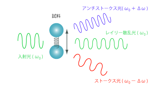 入射光と２つのラマン散乱光（アンチストークス光とストークス光）の関係 